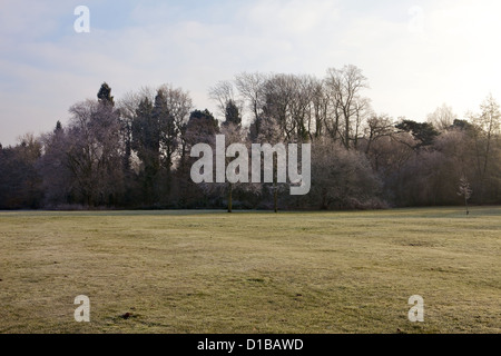 Solihull Parks, Brueton und Malvern während kalten Winterwetter in frost Stockfoto