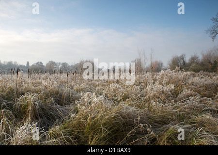 Solihull Nature Reserve hinter Brueton und Malvern Parks in Solihull West Midlands im Winterfrost und Kälteeinbruch Stockfoto