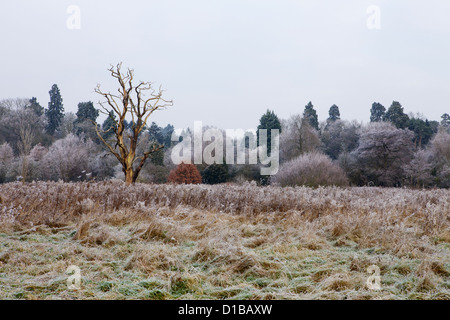 Solihull Nature Reserve hinter Brueton und Malvern Parks in Solihull West Midlands im Winterfrost und Kälteeinbruch Stockfoto