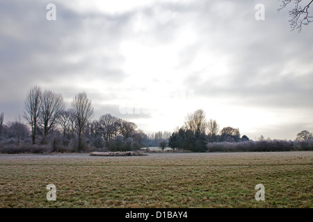 Solihull Nature Reserve hinter Brueton und Malvern Parks in Solihull West Midlands im Winterfrost und Kälteeinbruch Stockfoto