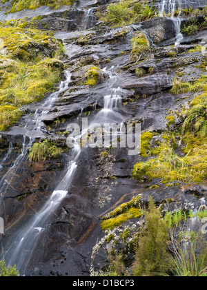 Wasserfälle in der Nähe von Milford Sound entlang Highway 94, Fiordland-Nationalpark, New Zealand, nach einem Starkregen-Ereignis. Stockfoto