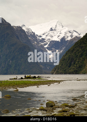 Low-Winkel Blick auf Mount Pembroke und Harrison River Valley, Mündung und die Bucht von Milford Sound; Fiordland-Nationalpark, neu Stockfoto