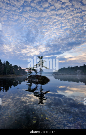 Eine kleine Insel im McGregor Bay, Felchen First Nation, Ontario, Kanada Stockfoto