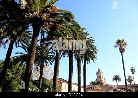 Das Kloster von Saint-Honorat Insel in der Nähe von Cannes, Alpes-Maritimes, Cote d ' Azur Stockfoto