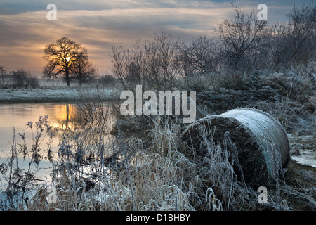 Sonnenuntergang über den Derwent an der Howsham Bridge, North Yorkshire, im Hochwinter folgenden Überschwemmungen. Stockfoto