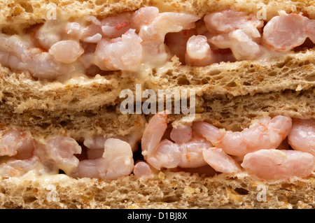Die Schnittkante der beiden Garnelen Mayonnaise Sandwiches. Stockfoto