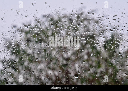 Eine schnelle Änderung des Wetters bringt schwere Regen und starkem Wind in Aberystwyth, Wales, UK am 14. Dezember 2012. Regentropfen auf das Fensterglas umrahmen einen windigen Baum. Stockfoto