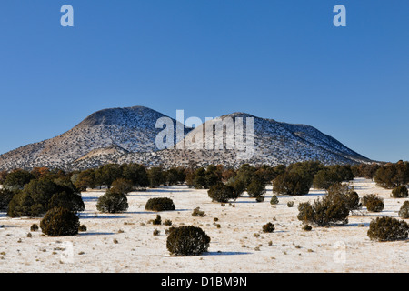 Pinyon Kiefern und Wacholder im Cibola National Forest mit frischem Schnee, in der Nähe von Magdalena, New Mexico, USA Stockfoto