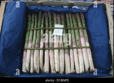 Preisgekrönten Anzeige der Top-Qualität-Spargel Stockfoto