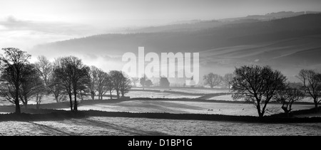 Panorama Bild zeigt blattlosen Bäume in Nidderdale mitten im Winter. Stockfoto