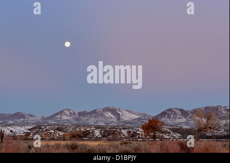 Einstellen der Mond über der Chupadera Reihe, Bosque del Apache NWR, New Mexico, USA Stockfoto