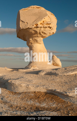 Huhn & Mushroom Rock Formation, Weiße Wüste (Sahara el Beyda), Ägypten Stockfoto