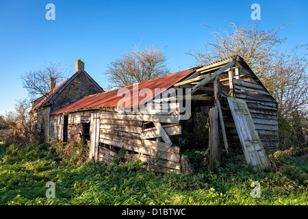 Verfallenes Bauernhaus und die Nebengebäude in Cambridgeshire Stockfoto