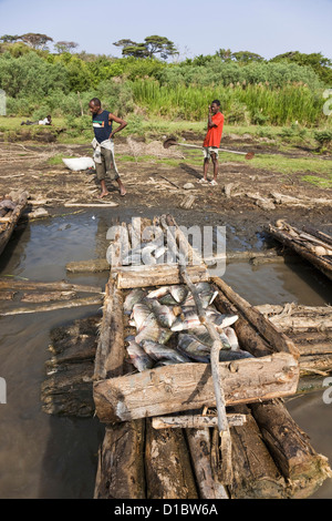 Fischer auf See Chamo, Arba Minch, Äthiopien. Fischer mit ihren Booten und ihren Fang am Strand Stockfoto