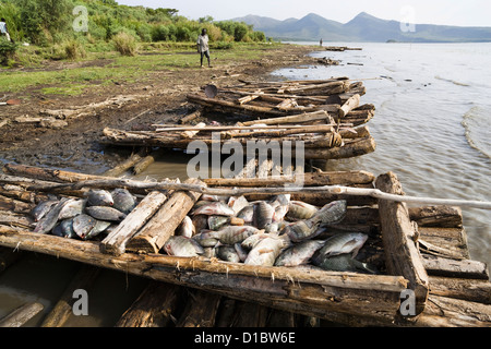 Fischer auf See Chamo, Arba Minch, Äthiopien. Fischer mit ihren Booten und ihren Fang am Strand Stockfoto