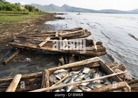 Fischer auf See Chamo, Arba Minch, Äthiopien. Fischer mit ihren Booten und ihren Fang am Strand Stockfoto