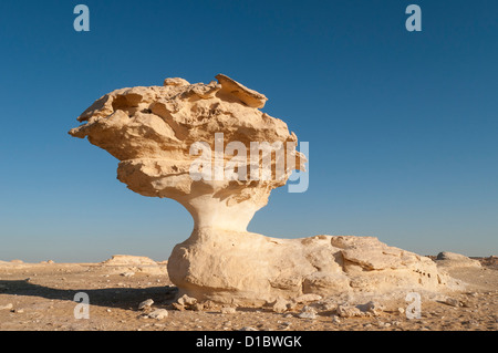 Pilz-Felsformationen, Weiße Wüste (Sahara el Beyda), Ägypten Stockfoto