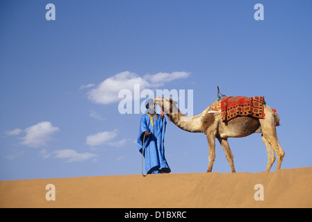 Afrika, Marokko, Tinfou (in der Nähe von Zagora) Mann in traditioneller Kleidung führender Kamel auf Sanddünen (MR) Stockfoto