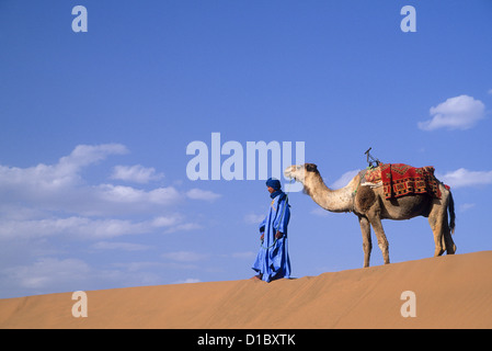 Afrika, Marokko, Tinfou (in der Nähe von Zagora) Mann in traditioneller Kleidung führender Kamel auf Sanddünen (MR) Stockfoto