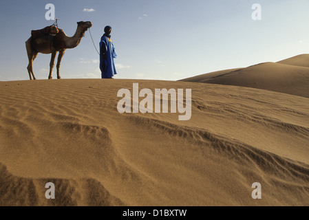 Afrika, Marokko, Tinfou (in der Nähe von Zagora) Mann in traditioneller Kleidung führender Kamel auf Sanddünen (MR) Stockfoto