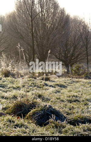 Frost und Nebel quer durch London angesehen von Primrose Hill, London, 14. Dezember 2012 in London, Großbritannien Stockfoto