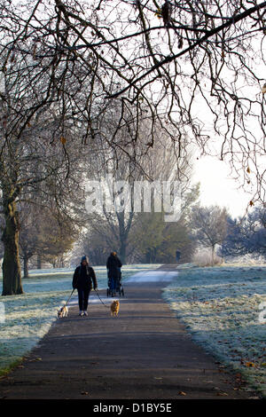 Frost und Nebel quer durch London angesehen von Primrose Hill, London, 14. Dezember 2012 in London, Großbritannien Stockfoto