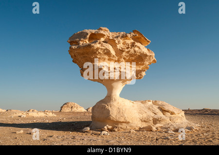 Pilz-Felsformationen, Weiße Wüste (Sahara el Beyda), Ägypten Stockfoto