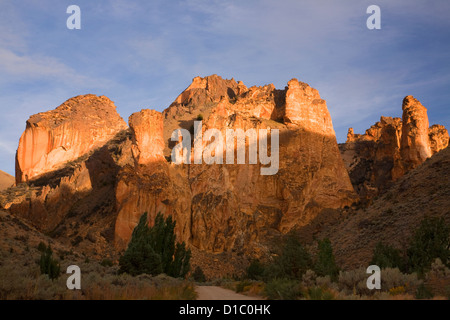 OR00850-00... OREGON - kurvenreiche Strecke durch Leslie Gulch. Stockfoto