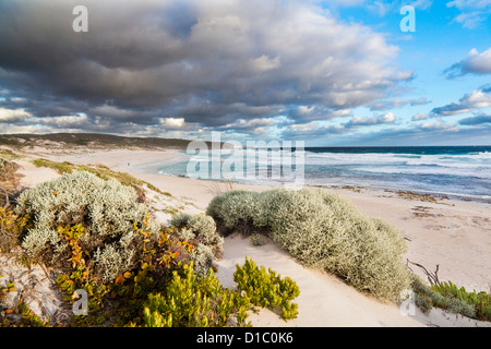 Die Küste in Hanson Bay auf Kangaroo Island, Australien, South Australia. Stockfoto