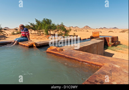 Natürliche Wasser Quelle, Western (libysche) Wüste, Ägypten Stockfoto