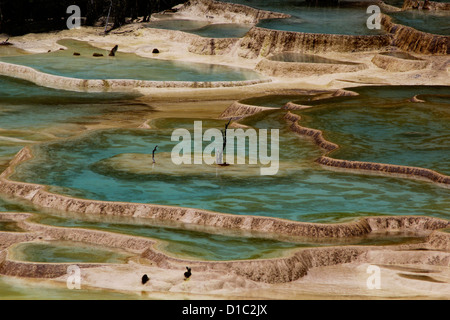 Pools gebildet durch Calcit Ablagerungen in Huanglong Natur behalten uns buchstäblich "gelben Drache" im nordwestlichen Teil von Sichuan, China Stockfoto