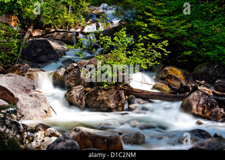 Wasserfall im gemäßigten Regenwald Stockfoto