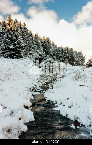 Ein kleiner Bach fließt durch eine verschneite Landschaft umgeben von Fell Stockfoto