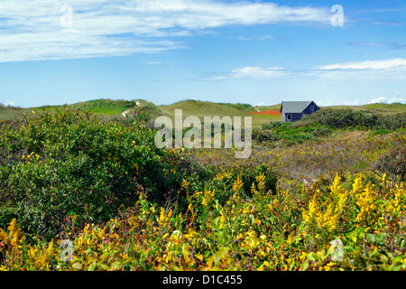 Beach Shack, Aquinnah, Martha's Vineyard, Massachusetts, USA Stockfoto