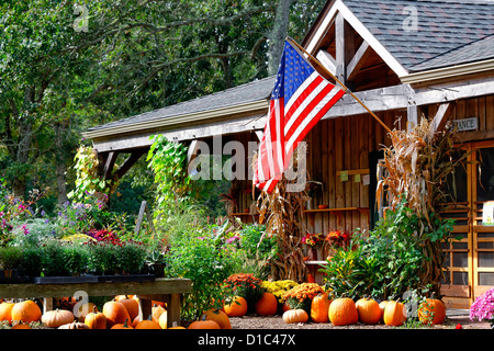 Morning Glory Bauernhof stand, Edgartown, Martha's Vineyard, Massachusetts, USA Stockfoto