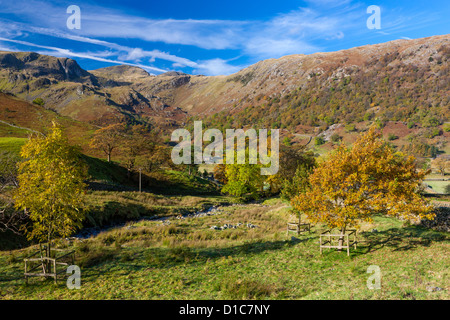 Herbstlandschaft, Dovedale Tal in den Lake District National Park. Stockfoto