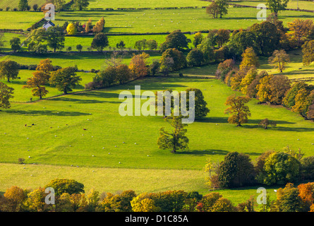 Blick vom Gipfel von Latrigg über Tal Borrowdale, Lake District National Park. Stockfoto