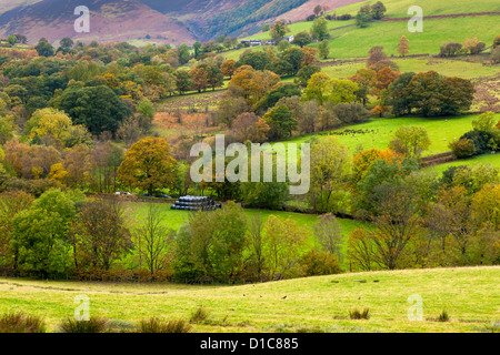 Keskadale und Derwent Fells in der Nähe von Keswick, Lake District National Park. Stockfoto