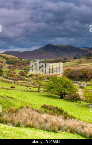 Keskadale und Derwent Fells in der Nähe von Keswick, Lake District National Park. Stockfoto