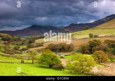 Keskadale und Derwent Fells in der Nähe von Keswick, Lake District National Park. Stockfoto