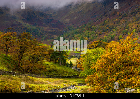 Herbstlandschaft, Dovedale Tal in den Lake District National Park. Stockfoto