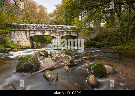 Rocky River Plym fließt durch Dewerstone Wood in der Nähe von Shaugh Prior in Dartmoor National Park, Devon, England, Vereinigtes Königreich, Europa. Stockfoto