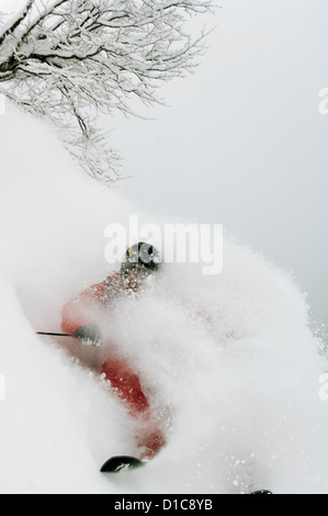 Skifahren im Tiefschnee im Skigebiet Krasnaja Poljana, Sotschi Mann. Sotschi hält 2014 Olympischen Winterspiele, Kaukasus Stockfoto