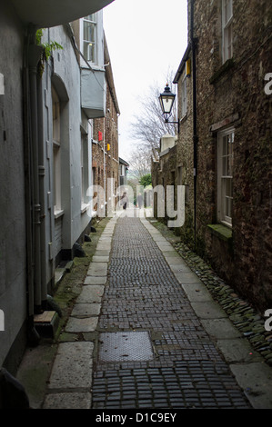 Totnes, Devon, England. 12. Dezember 2012. Gepflasterten engen Gasse mit Fußgängern und ein altes umgearbeitet Straßenlaterne. Stockfoto