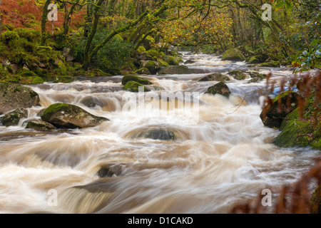 Rocky River Plym fließt durch Dewerstone Wood in der Nähe von Shaugh Prior in Dartmoor National Park, Devon, England, Vereinigtes Königreich, Europa. Stockfoto