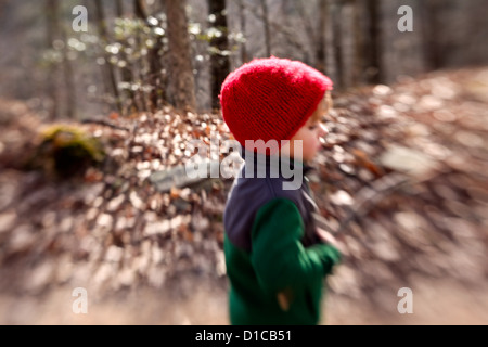 Kleiner Junge mit Vlies und roten Hut gehen auf eine Wanderung und sammeln von Feuerholz Stockfoto