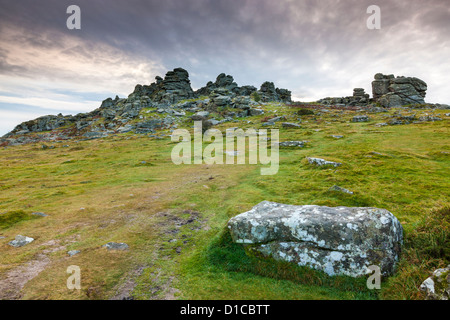 Hound Tor im Dartmoor National Park. Stockfoto