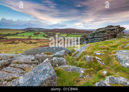 Hound Tor im Dartmoor National Park. Stockfoto