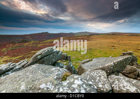 Blick vom Hound Tor in Richtung Haytor Rocks im Dartmoor National Park. Stockfoto
