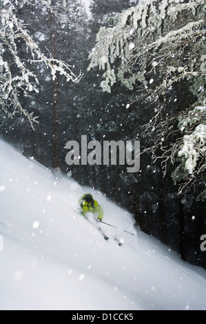 Mann Backcountry Wald Skifahren im Tiefschnee in Taos Ski Resort, New Mexico, USA Stockfoto